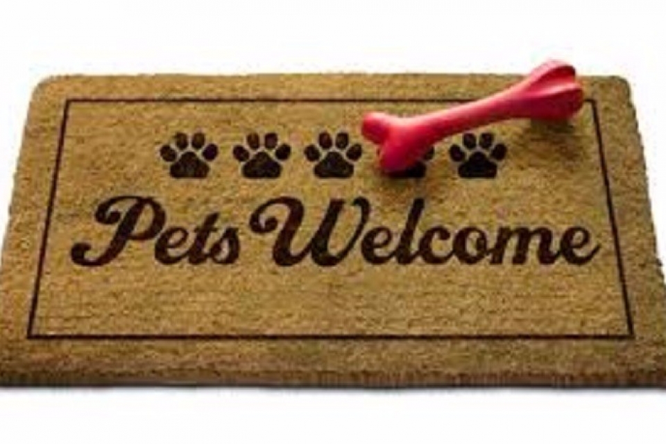 pet friendly